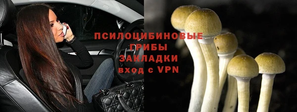 прущие крисы Арсеньев