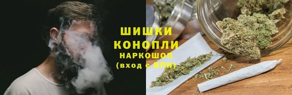 амф Аркадак