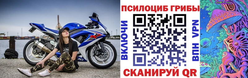 Галлюциногенные грибы Psilocybine cubensis  Бабаево 